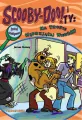Na tropie Wędrującej Wiedźmy. Scooby-Doo! i Ty. Tom 8 - tantis.pl