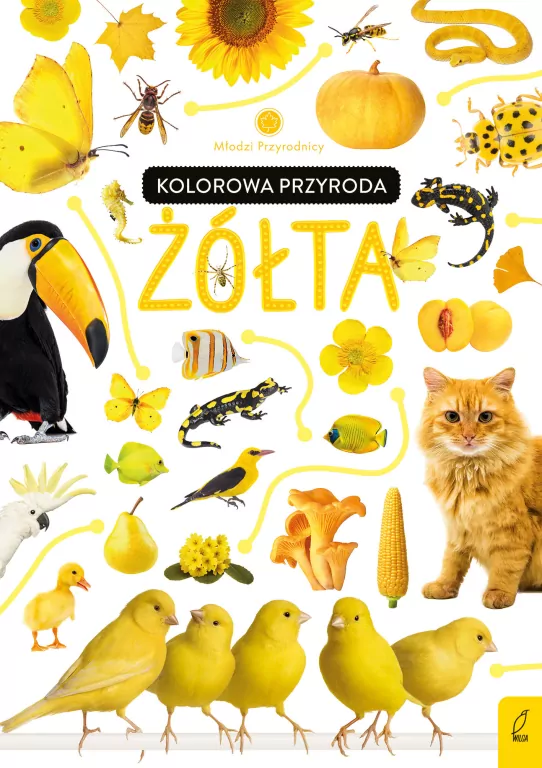 Młodzi przyrodnicy. Kolorowa przyroda. Żółta - tantis.pl