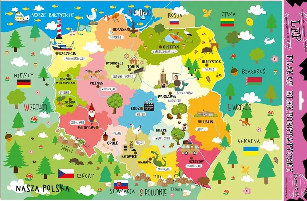 Plakat elektrostatyczny Polska edu - tantis.pl