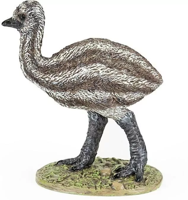 Emu młody - tantis.pl