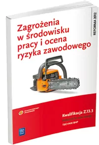 Zagrożenia w środowisku pracy i ocena ryzyka zawodowego. Kwalifikacja Z.13.3 - tantis.pl