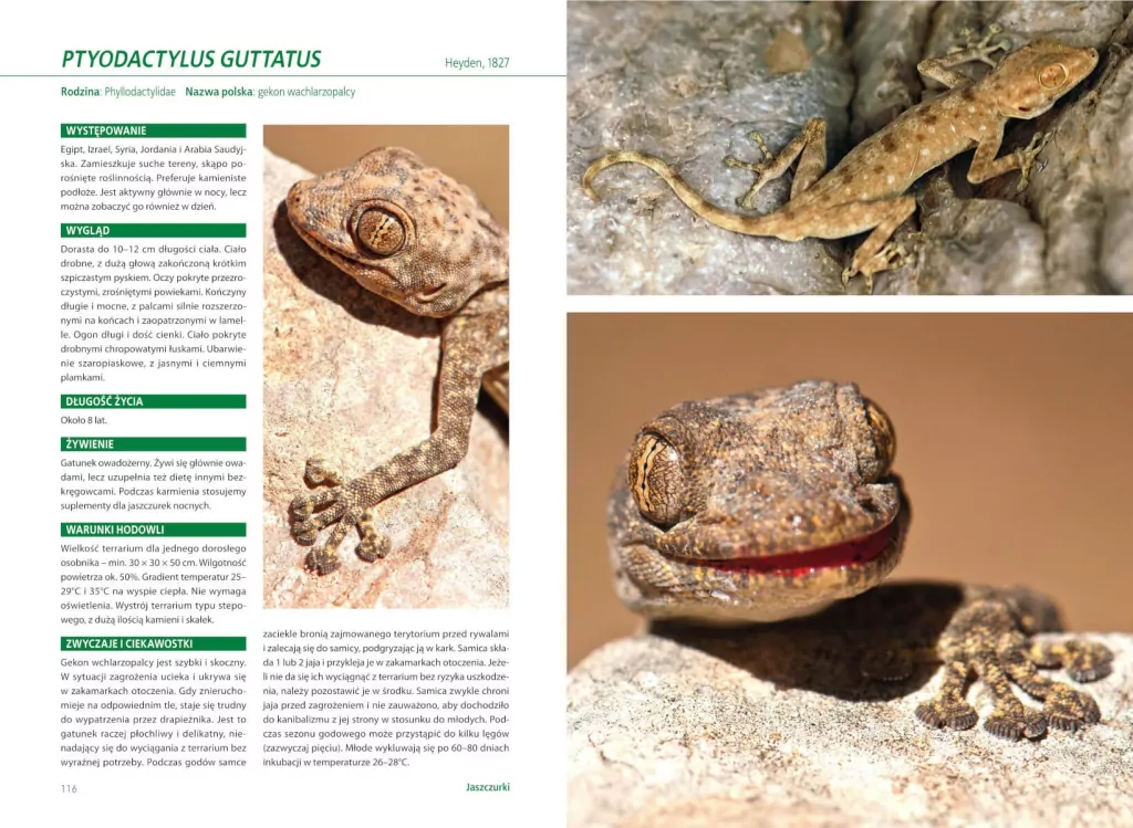 Atlas gadów hodowlanych - tantis.pl