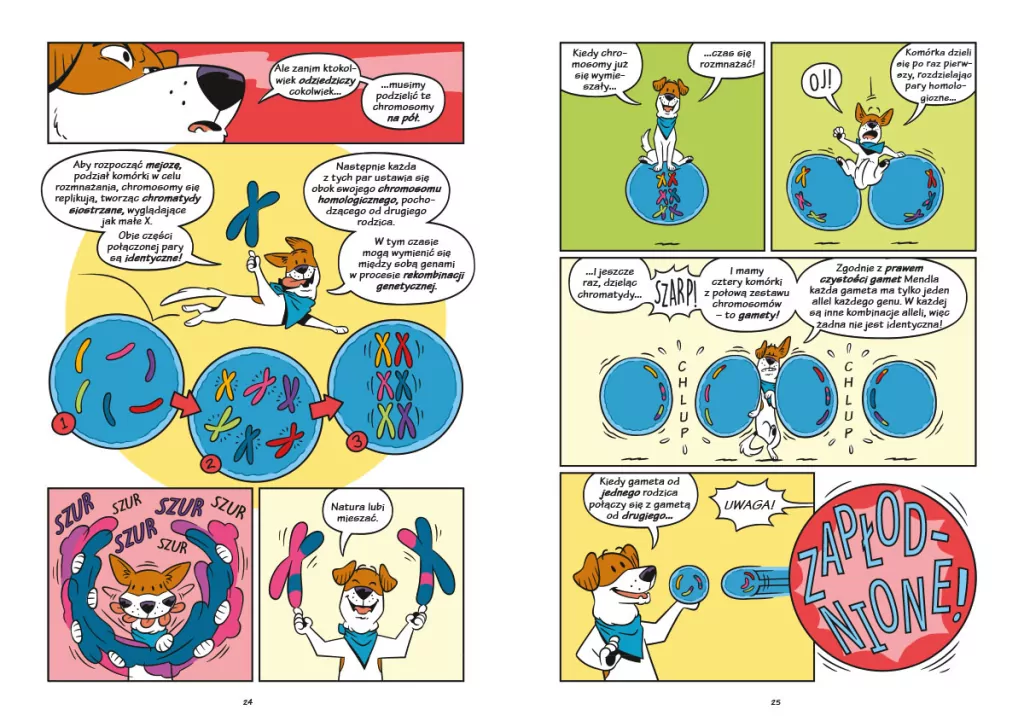 Psy. Od drapieżników do obrońców. Naukomiks - tantis.pl