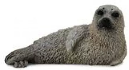 Collecta. Foka pstra - tantis.pl