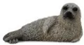 Collecta. Foka pstra - tantis.pl