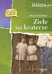 Ziele na kraterze. Wydanie z opracowaniem i streszczeniem