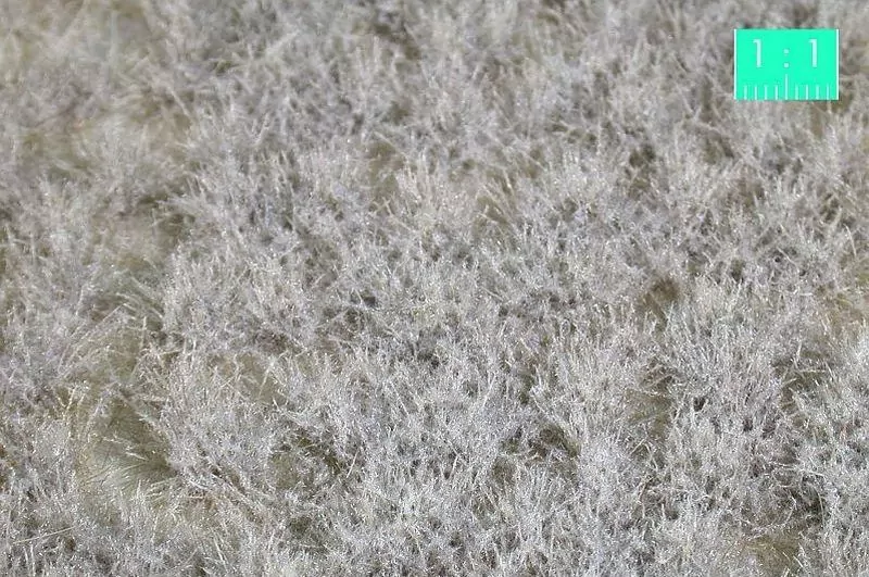 MiniNatur: Dwukolorowe zimowe tufty - tantis.pl