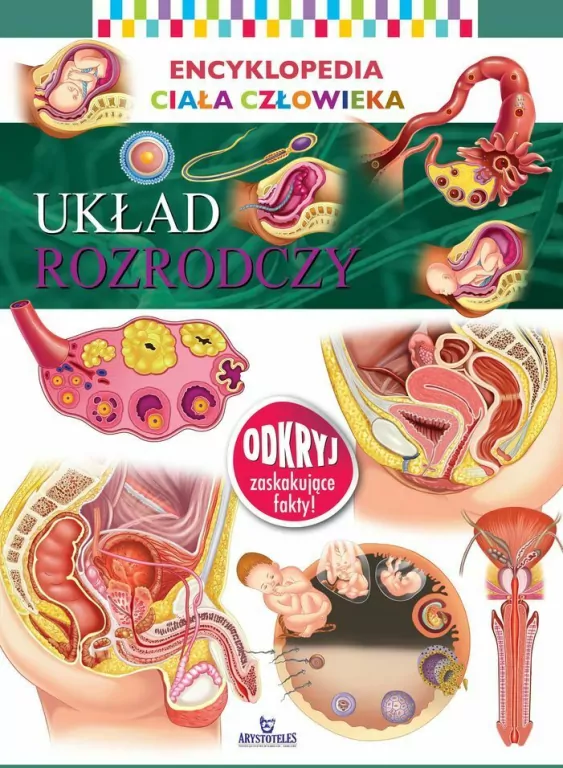 Encyklopedia ciała człowieka. Układ rozrodczy - tantis.pl
