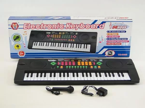 Organki 54 klawiszy z mikrofonem ładowarka USB - tantis.pl