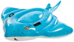 Płaszczka do pływania