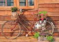 KARNET OKAZ B6 Z KOP PD KB6-1799 - tantis.pl