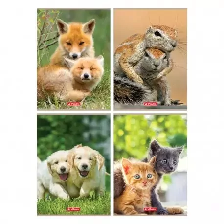 Zeszyt A4/32K kratka Animals (10szt) - tantis.pl