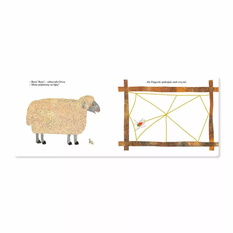 Pajączek - tantis.pl