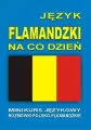 J. flamandzki na co dzień. Mini kurs językowy + CD - tantis.pl