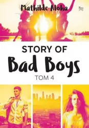 Story of Bad Boys. Tom 4