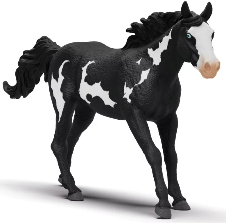 Wałach rasy Paint Horse - tantis.pl