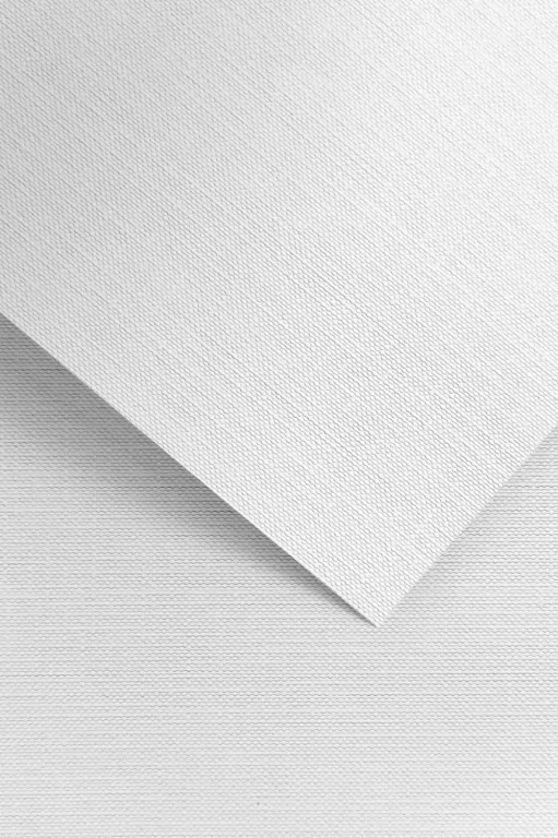 KARTON OZD A4 BIA 240G GAL PAP RYPS OP20ARK - tantis.pl