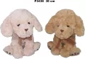 Pies 30cm MIX - tantis.pl
