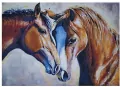 Mozaika diamentowa 5D - Konie 40x30cm - tantis.pl