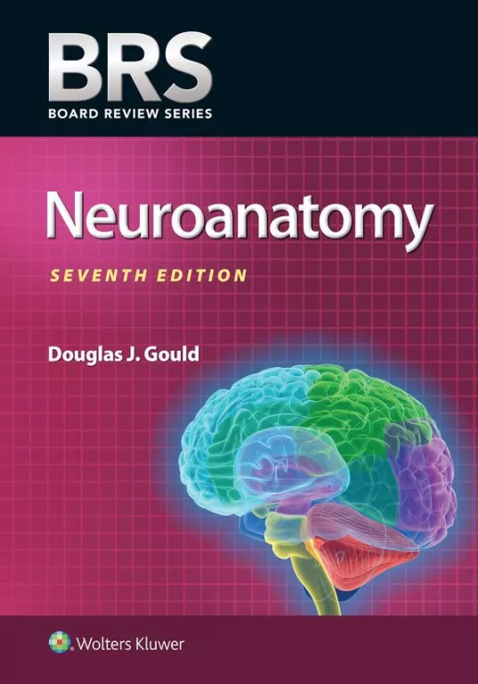 BRS Neuroanatomy - tantis.pl