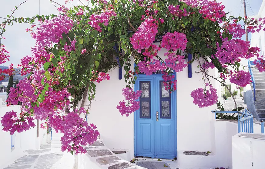 Terminarz 2021 Ścienny MiP - tantis.pl