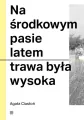 Na środkowym pasie latem trawa była wysoka - tantis.pl