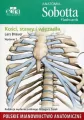Anatomia Sobotta Flashcards Kości stawy i więzadła - tantis.pl