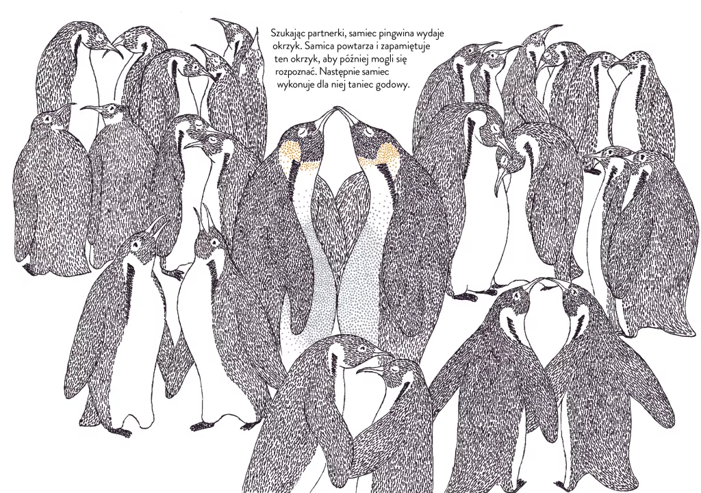 Narodziny - tantis.pl