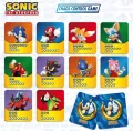 Sonic. Chaos Control Game - tantis.pl