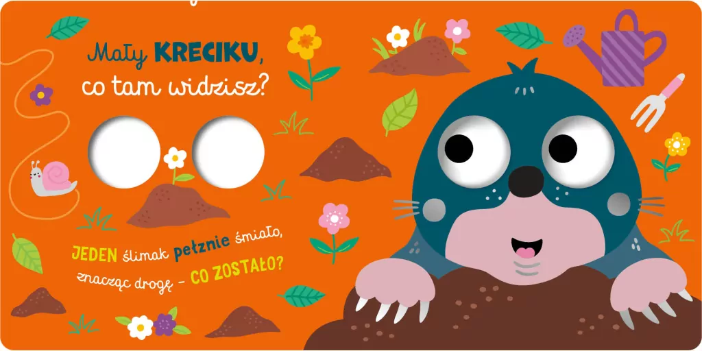 Mała sówko, co tam widzisz? - tantis.pl