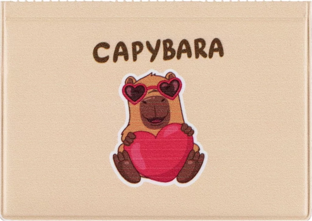 OKLADKA NA DOKUM UCZNIA NOWE KAPIBARA3 KM PLASTI - tantis.pl