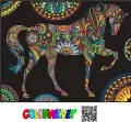 Kolorowanka Welwetowa 47x35 Koń Mandale - tantis.pl