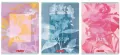 Zeszyt A4/60K kratka Blossom  HERLITZ - tantis.pl