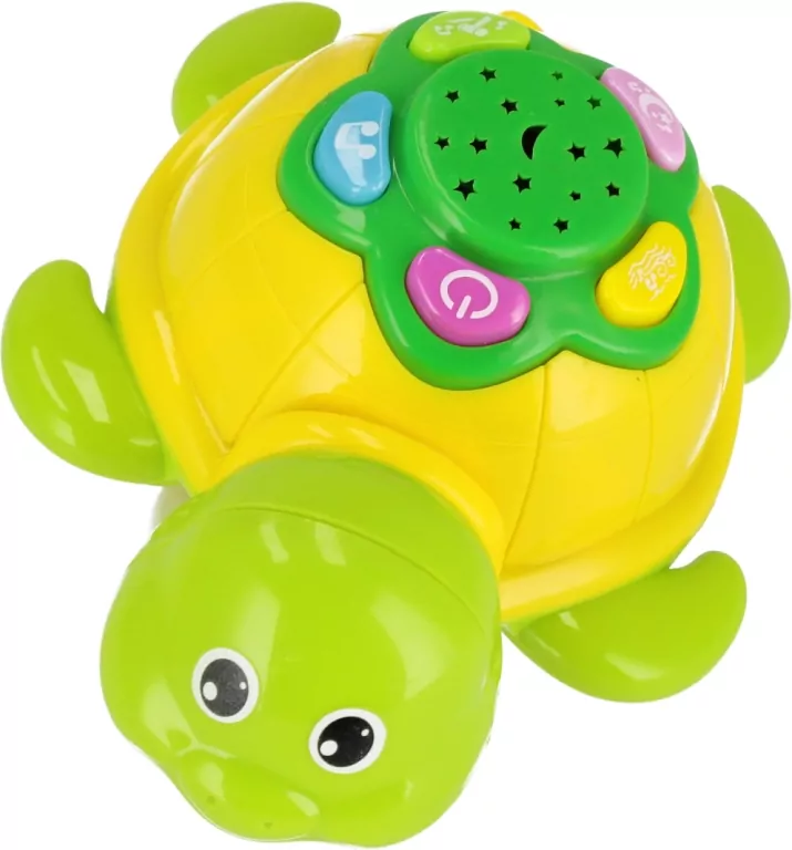 Zabawny żółw. Bam Bam - tantis.pl