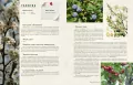 Dzika kuchnia - tantis.pl