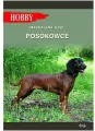Posokowce - tantis.pl