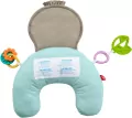 Fisher Price Muzyczny Leniwiec poduszka z wibracją - tantis.pl