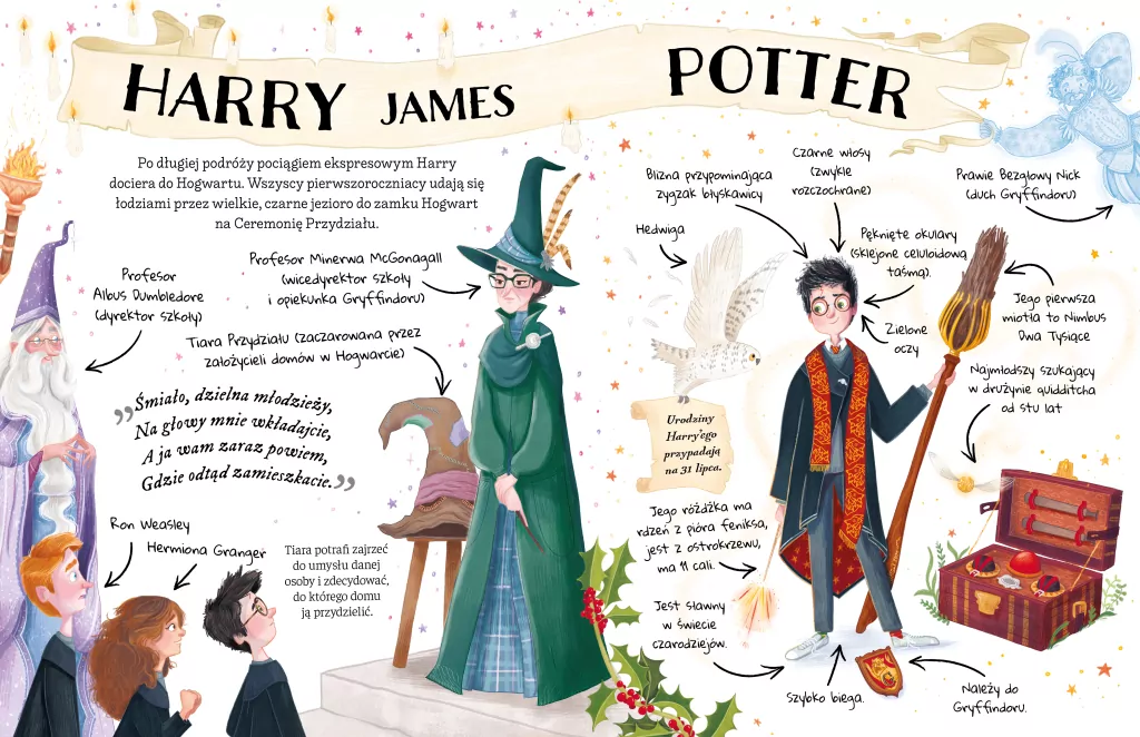 Harry Potter. Mały potterownik. Przewodnik po serii Harry Potter - tantis.pl
