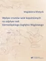 Wpływ zrzutów wód kopalnianych na odpływ rzek... - tantis.pl