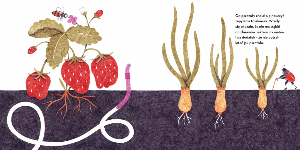 Franciszek z kompostu - tantis.pl