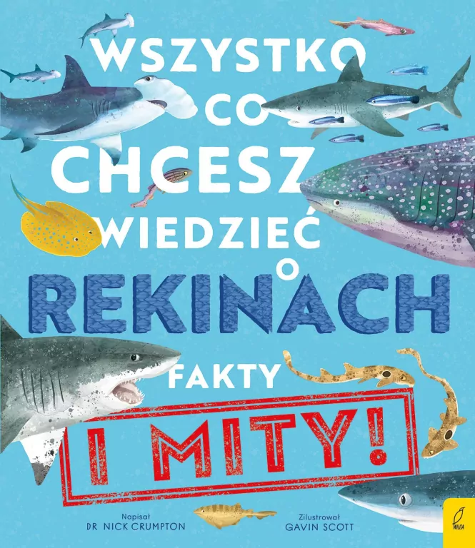 Wszystko, co chcesz wiedzieć o rekinach. Fakty i mity - tantis.pl