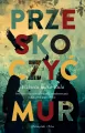 Przeskoczyć mur - tantis.pl
