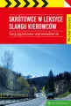 Skrótowce w leksyce slangu kierowców. Socjojęzykowe wprowadzenie - tantis.pl