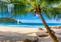Puzzle 500. Wakacje na Seszelach. 53827 - tantis.pl