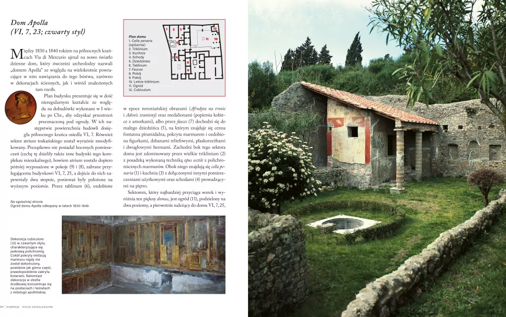 Pompeje. Odzyskana historia - tantis.pl