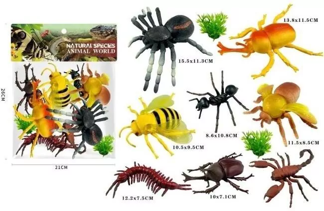 Insekty - tantis.pl
