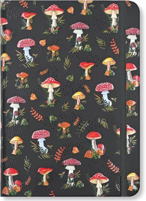 Notatnik Mini Grzyby - tantis.pl