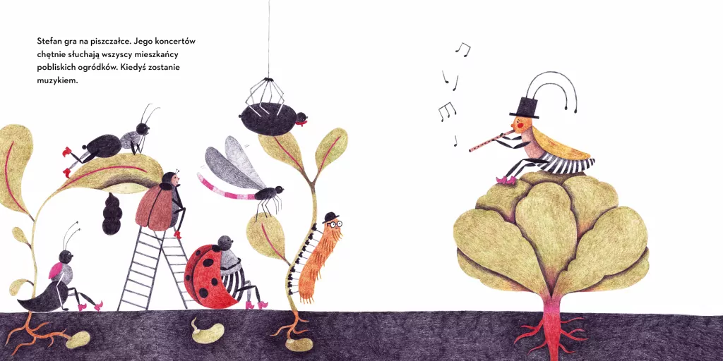 Franciszek z kompostu - tantis.pl