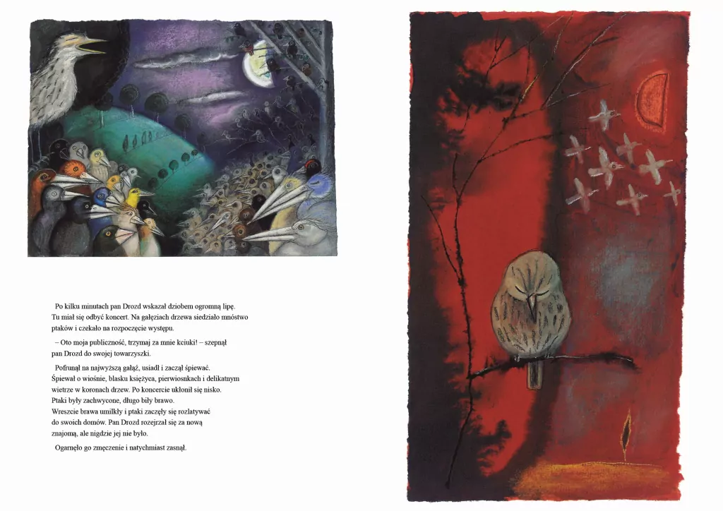 Pani Drozdowa - tantis.pl