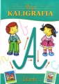 Literki. Moja kaligrafia - tantis.pl
